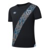 Original Fußballtrikot Guatemala Ausweichtrikot 2025 Für Herren